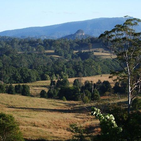 Grey Gum Lodge Nimbin Exteriér fotografie