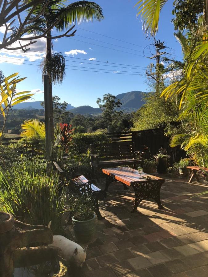Grey Gum Lodge Nimbin Exteriér fotografie