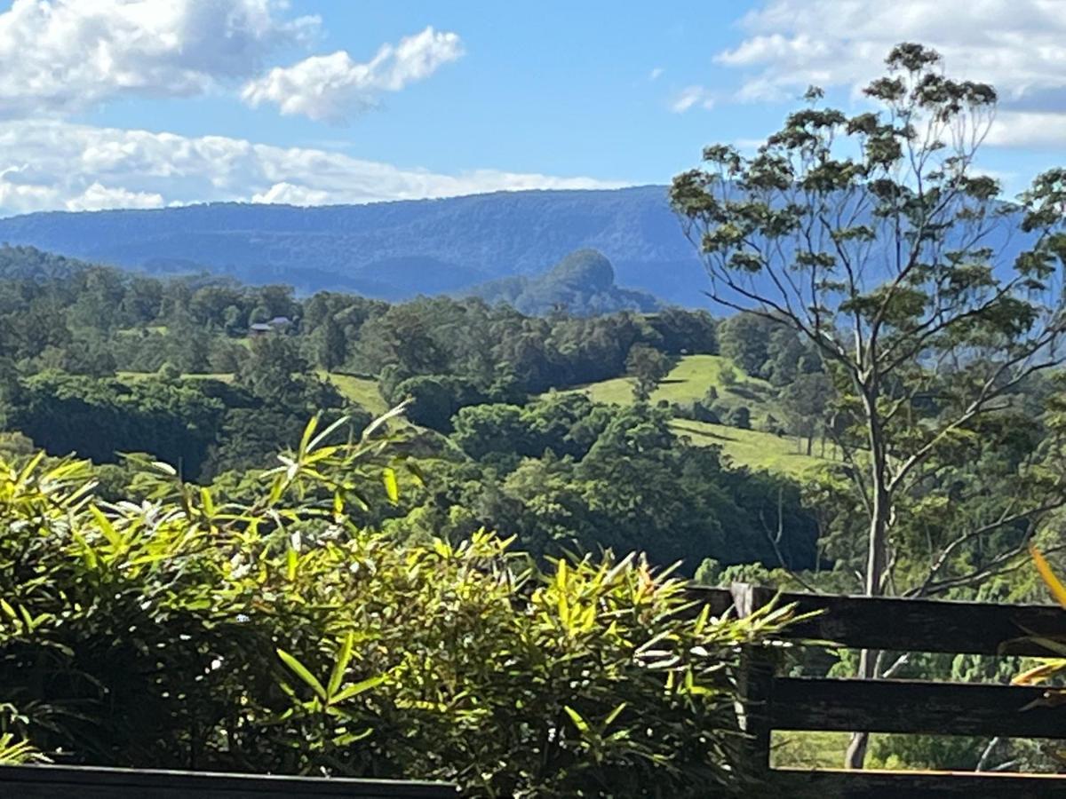 Grey Gum Lodge Nimbin Exteriér fotografie