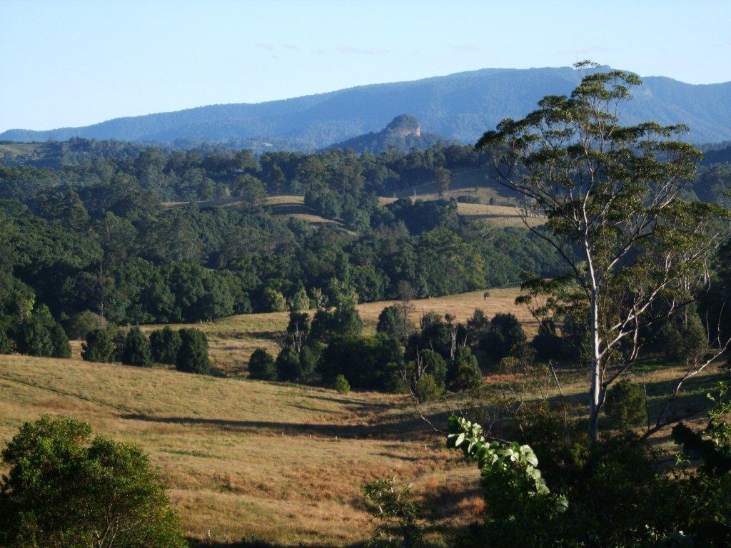Grey Gum Lodge Nimbin Exteriér fotografie