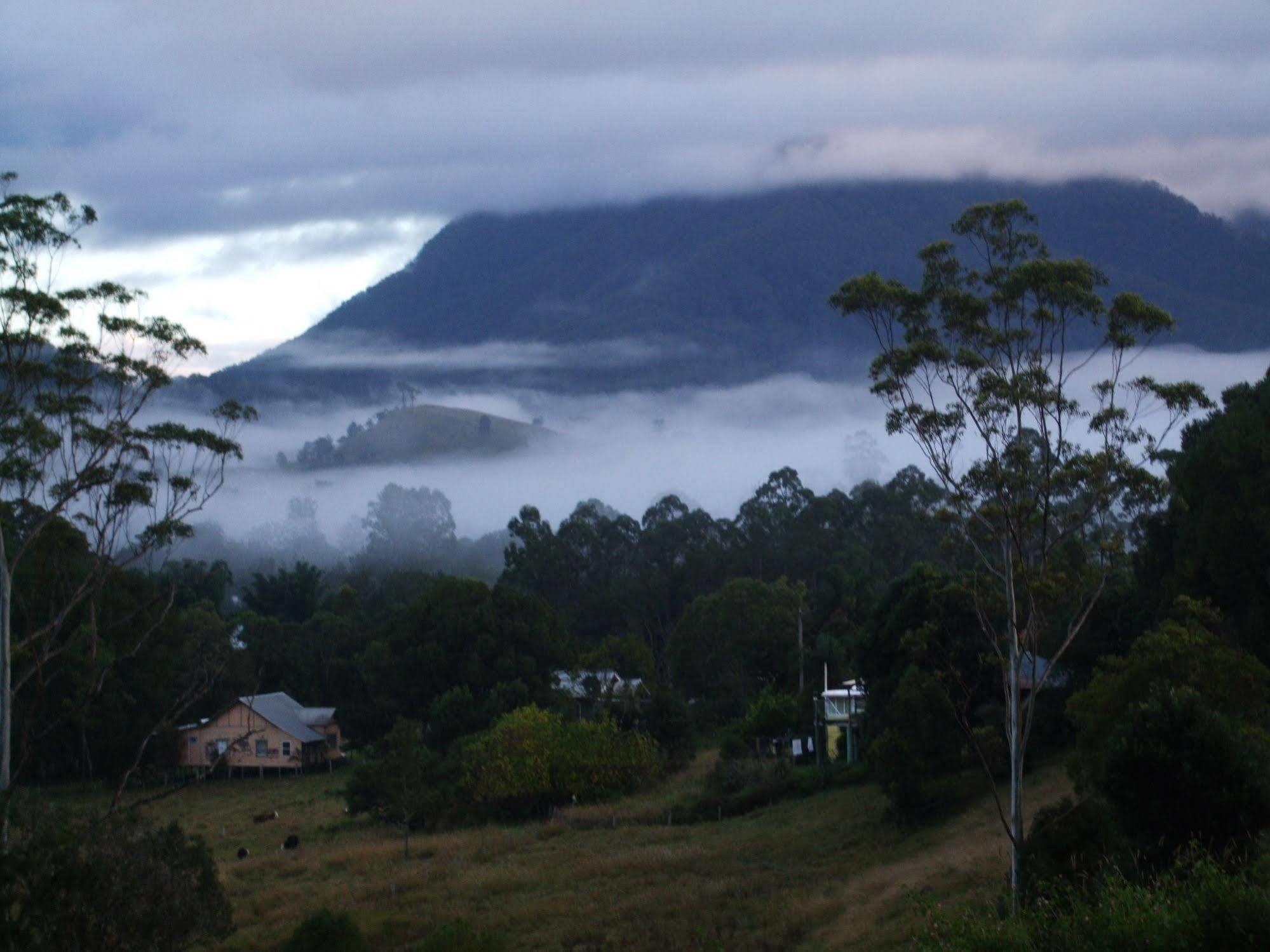 Grey Gum Lodge Nimbin Exteriér fotografie