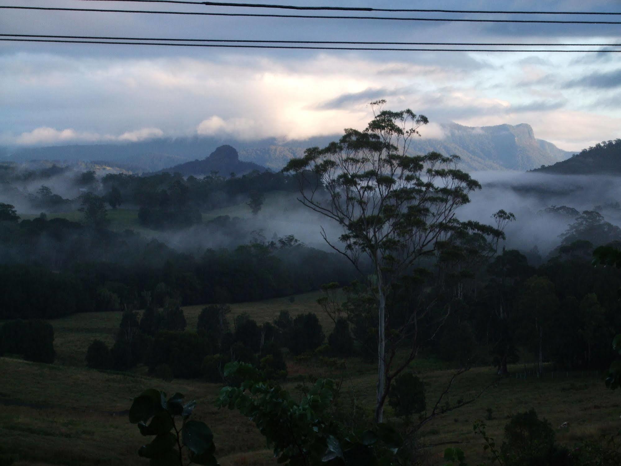Grey Gum Lodge Nimbin Exteriér fotografie